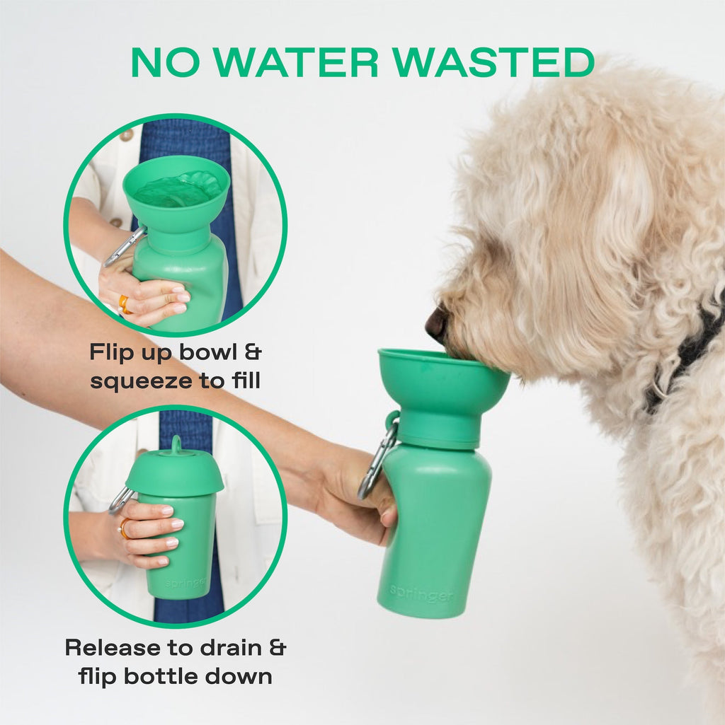 Dog Water Bottle product image 32