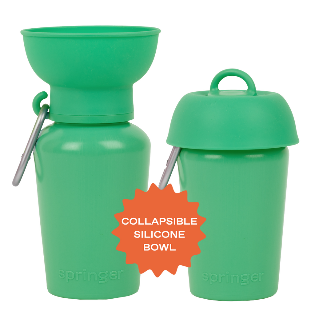 Dog Water Bottle product image 33