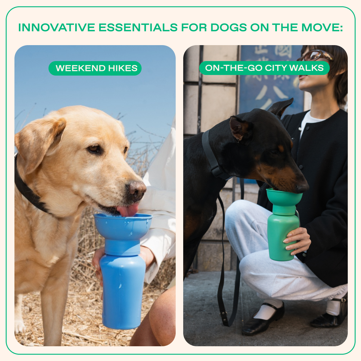 Dog Water Bottle product image 36