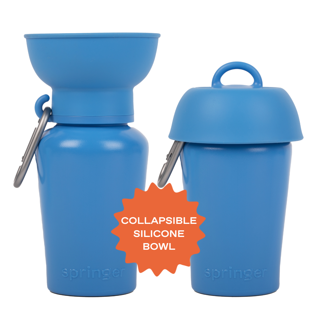 Dog Water Bottle product image 38