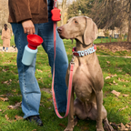 Dog Water Bottle product image 41