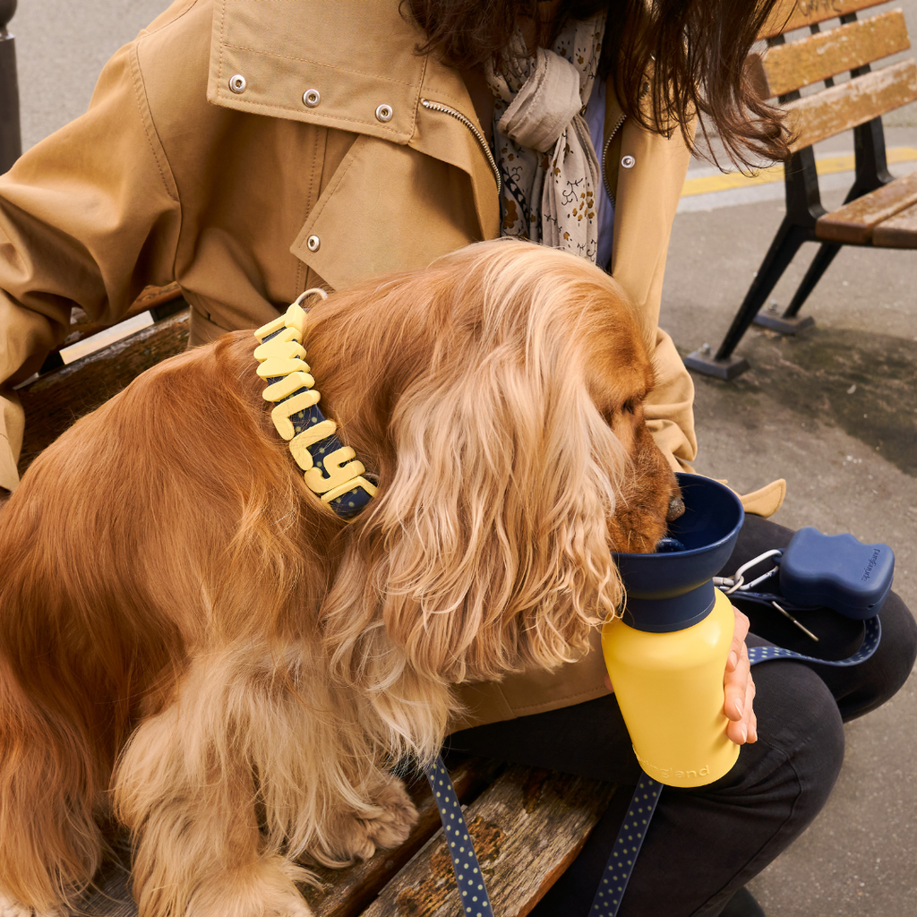 Dog Water Bottle product image 44
