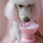 Dog Water Bottle product image 49