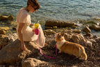 Dog Water Bottle product image 55