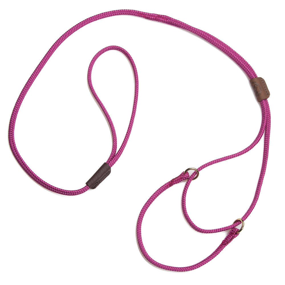 Martingale Leash product image 1