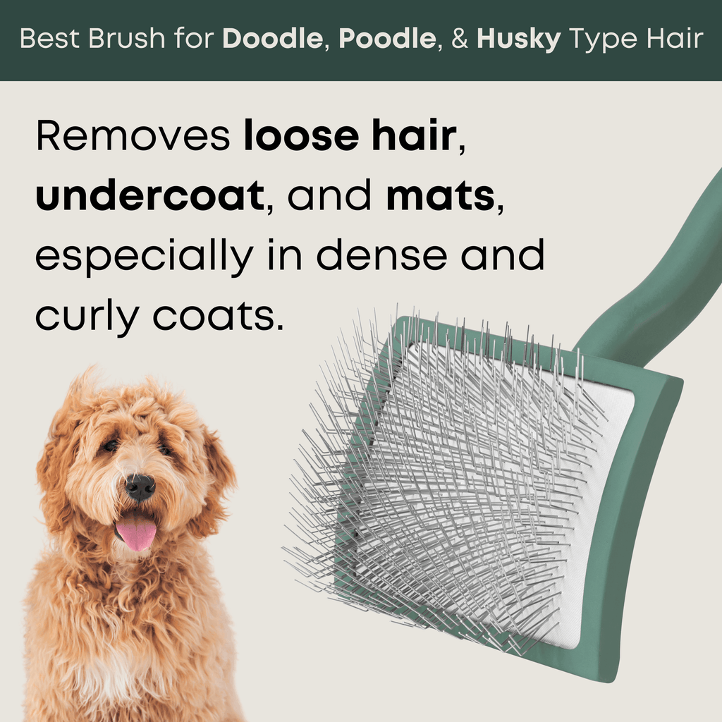Dog Slicker Brush product image 2