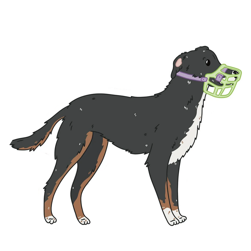 Dog Basket Muzzle product image 32