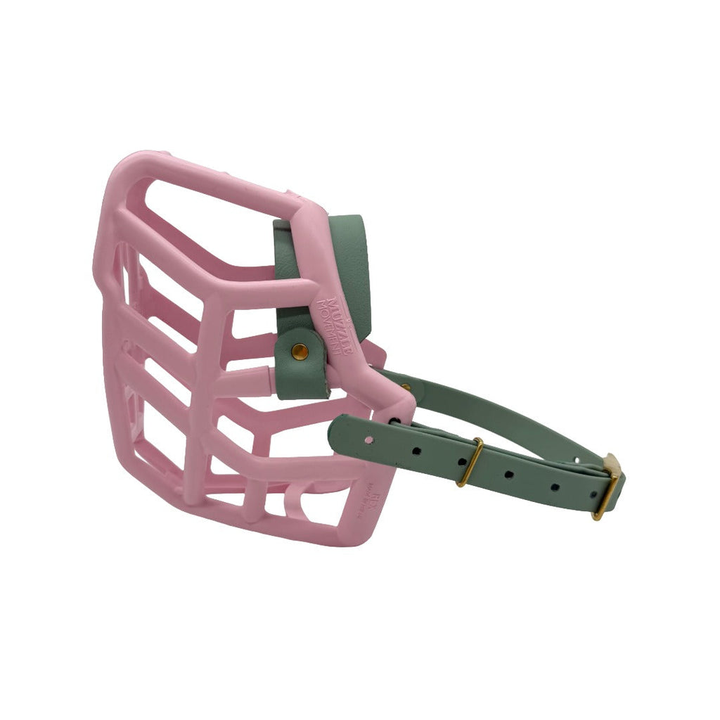 Basket Dog Muzzle product image 42