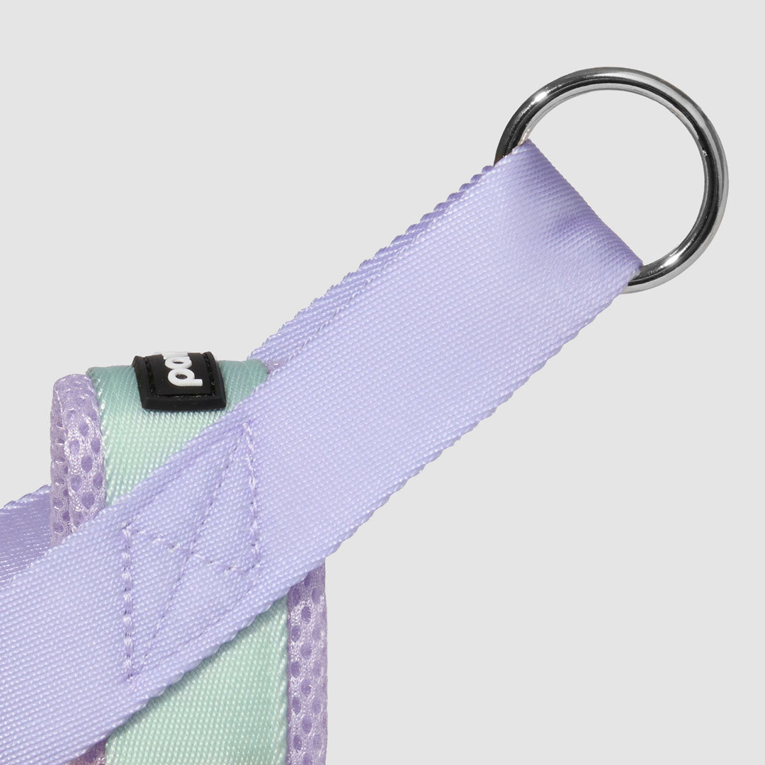 Dog Harness product image 5