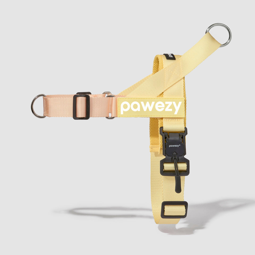 Dog Harness product image 7
