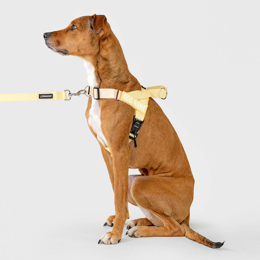 Dog Harness product image 8