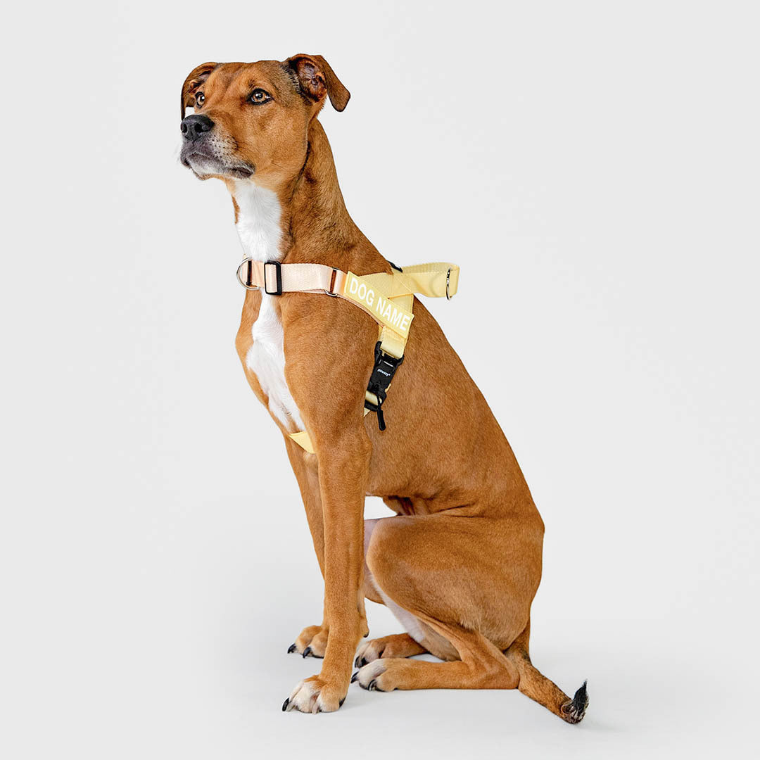 Dog Harness product image 9
