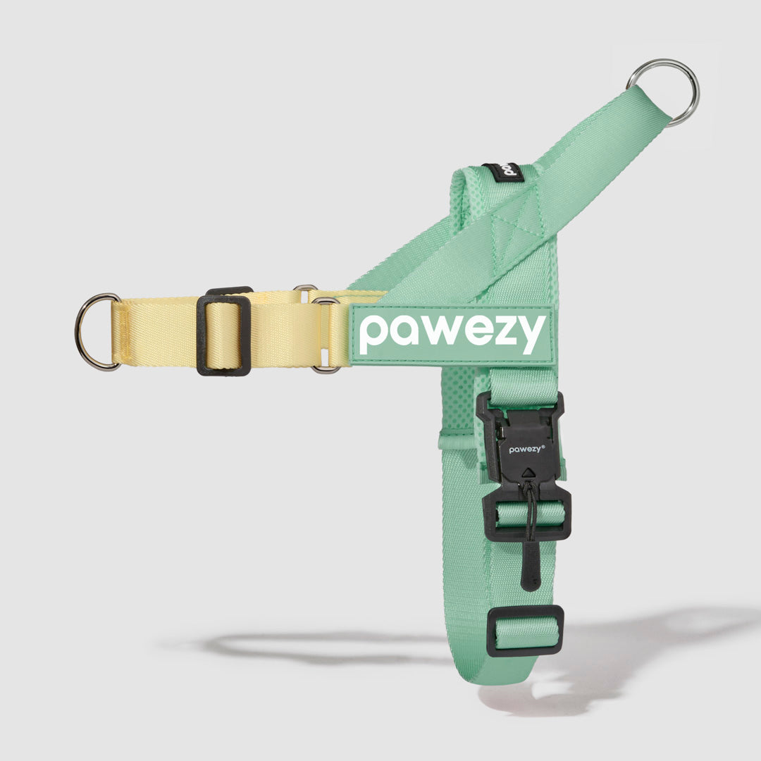 Dog Harness product image 13