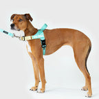 Dog Harness product image 14