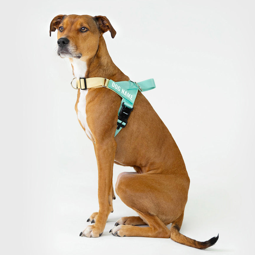 Dog Harness product image 15