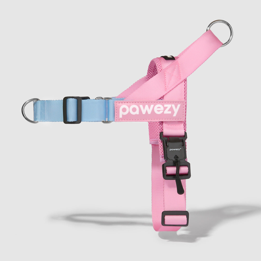 Dog Harness product image 19