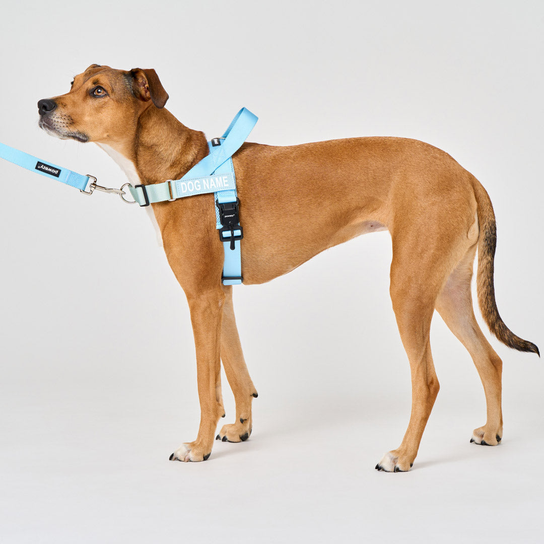 Dog Harness product image 26
