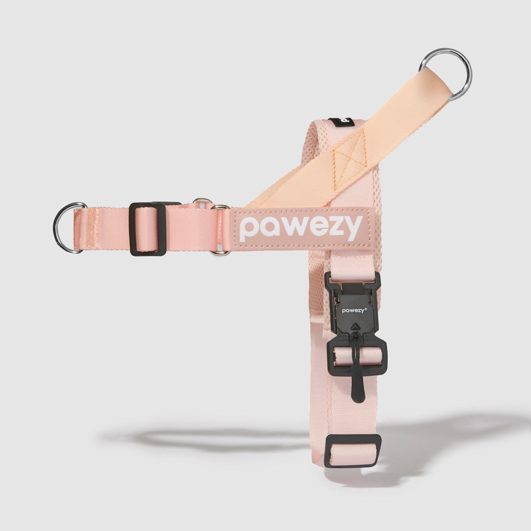 Dog Harness product image 31