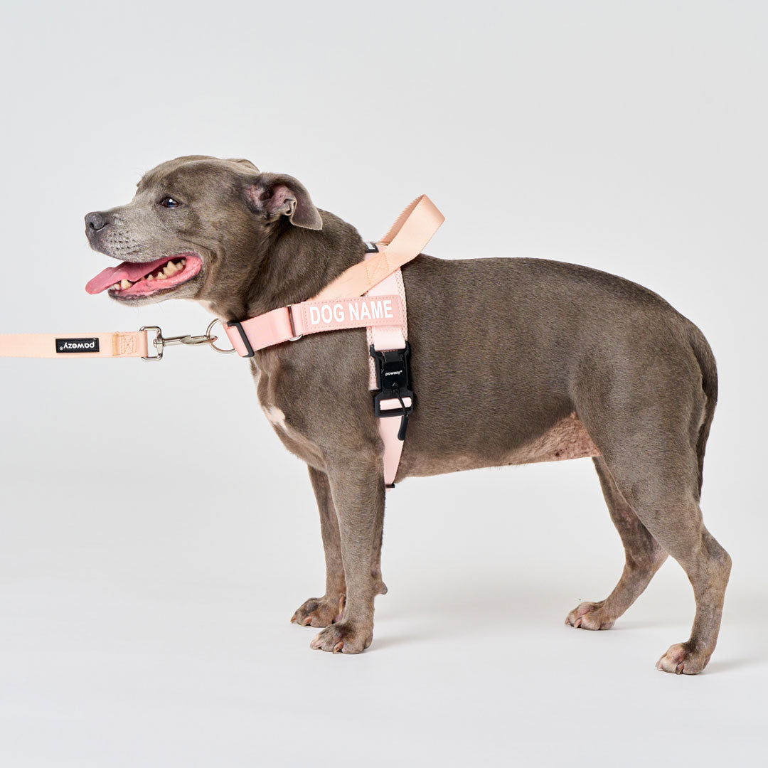Dog Harness product image 32