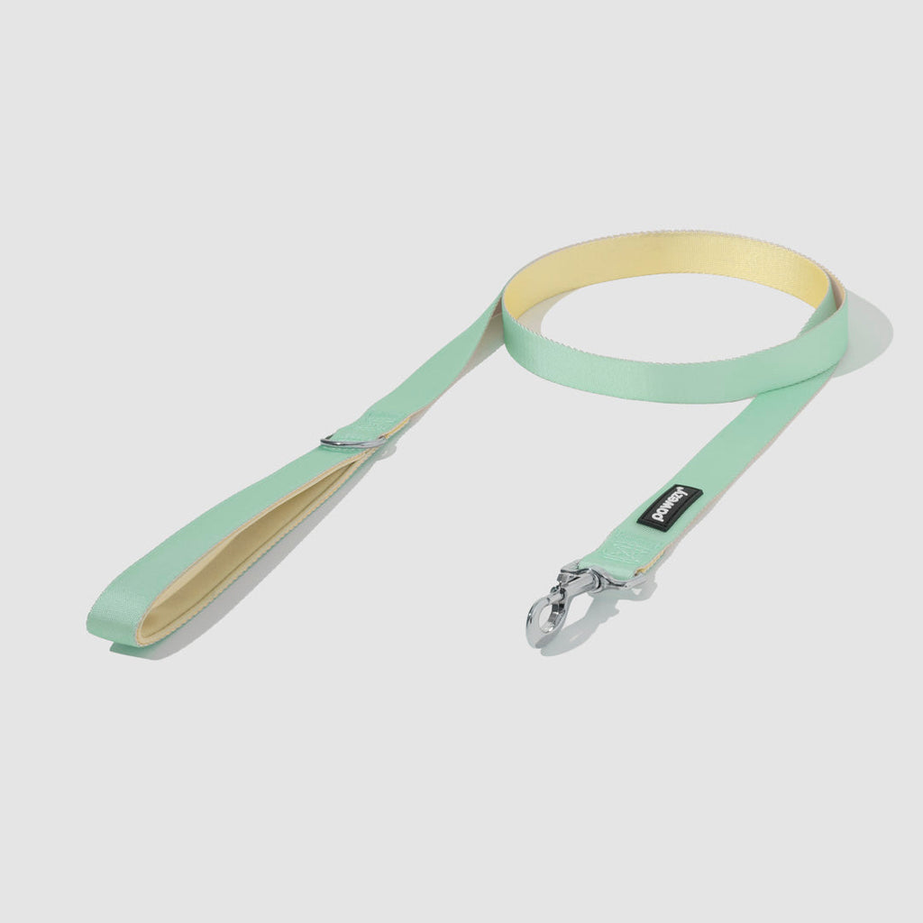 Dog Harness Kit product image 11