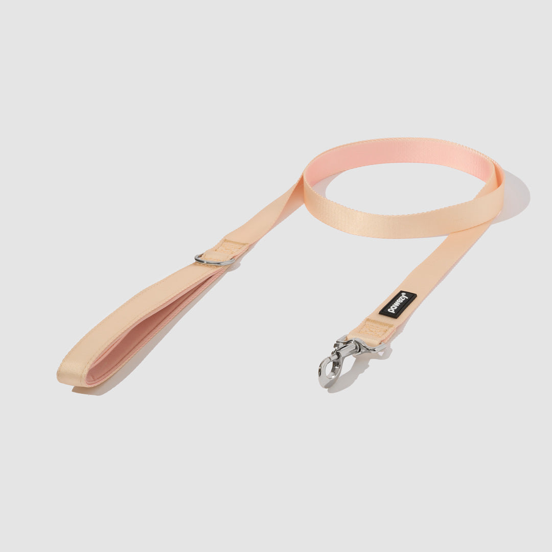 Dog Harness Kit product image 23