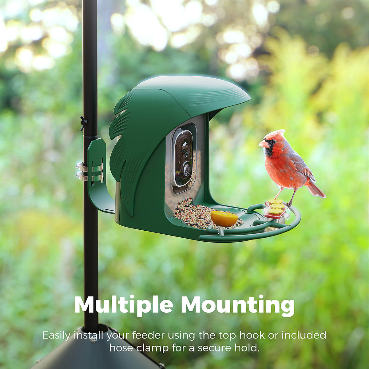 Bird Feeder Pole product image 11