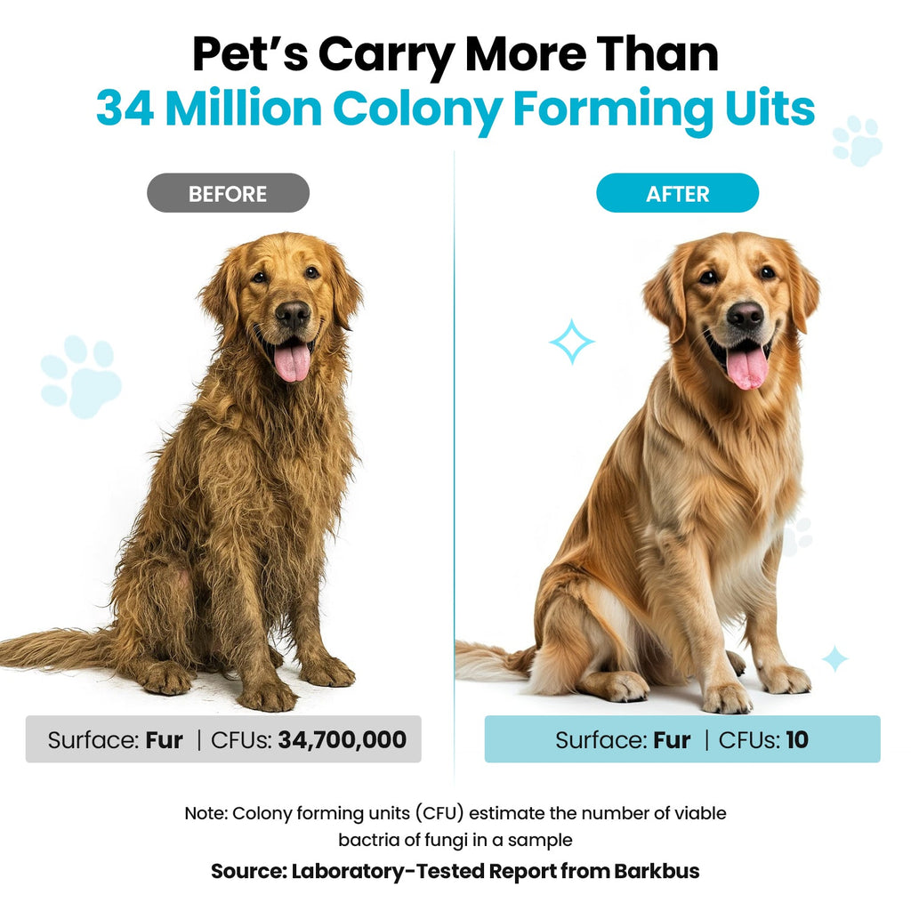 Pet Grooming Kit product image 4