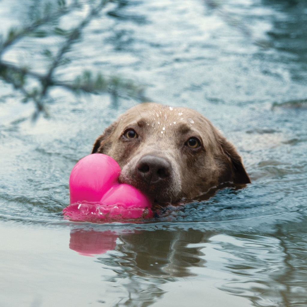 Rubber Dog Toy product image 19