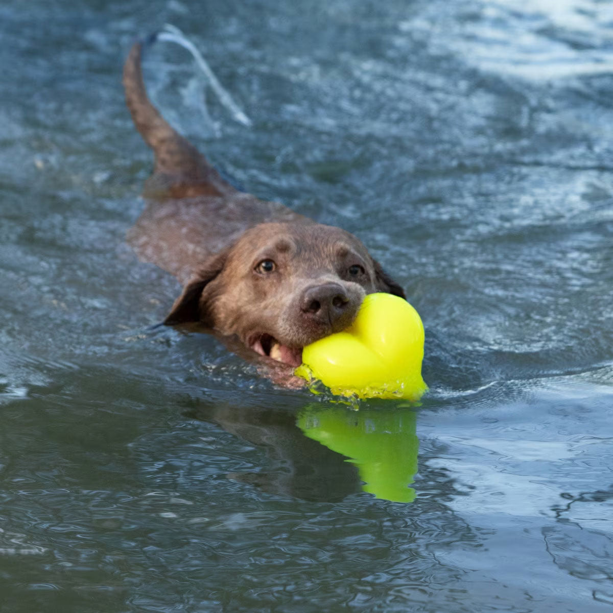 Rubber Dog Toy product image 21