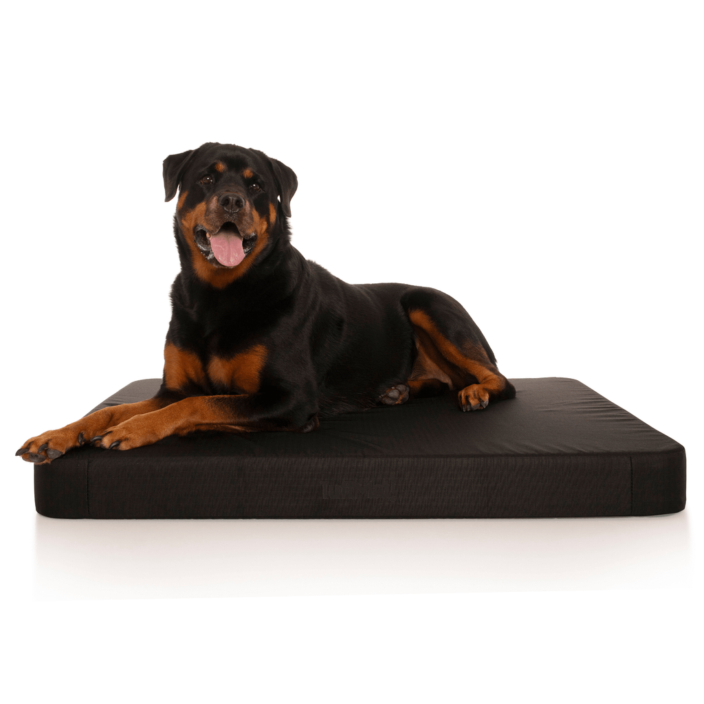 Waterproof Orthopedic Dog Bed product image 17