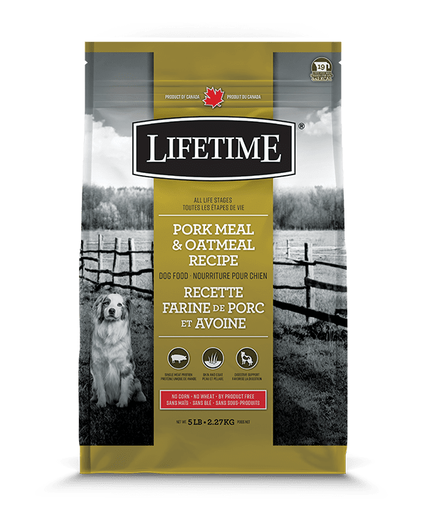 Dog Kibble product image 1