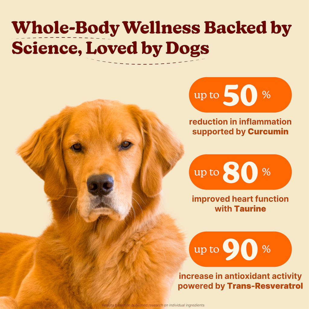Dog Multivitamin Soft Chews product image 2