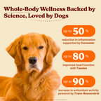 Dog Multivitamin Soft Chews product image 2