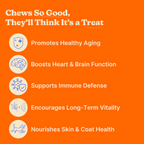 Dog Multivitamin Soft Chews product image 3