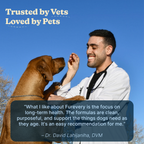 Dog Multivitamin Soft Chews product image 4