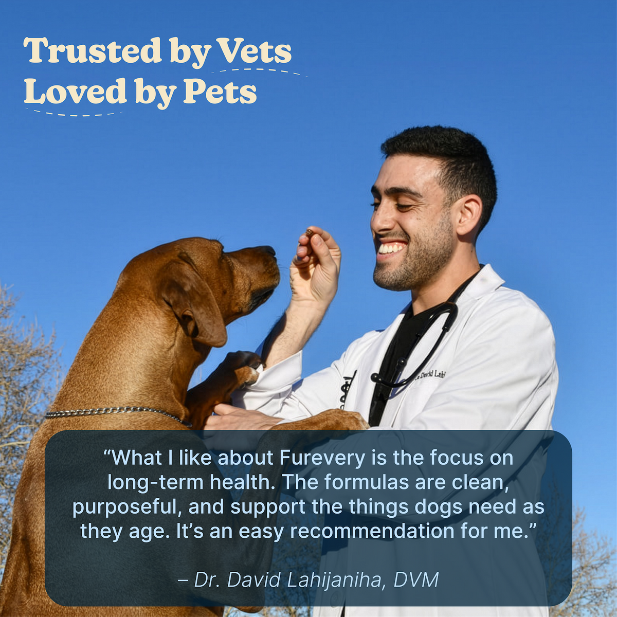 Dog Multivitamin Soft Chews product image 4