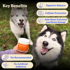 Dog Multivitamin Soft Chews product image 5