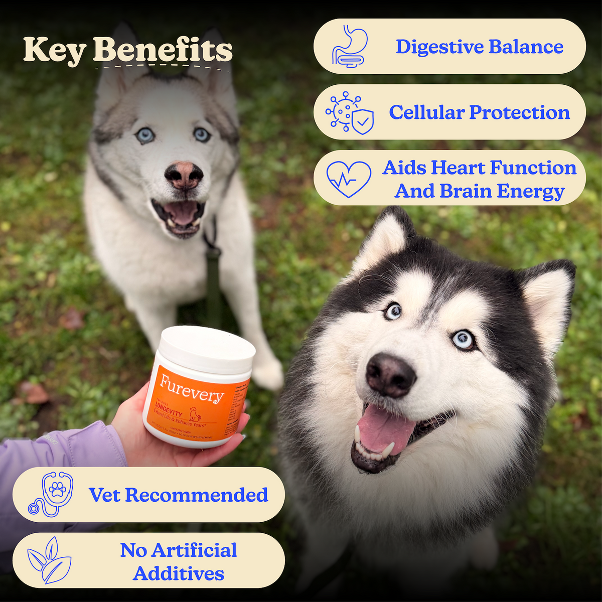 Dog Multivitamin Soft Chews product image 5