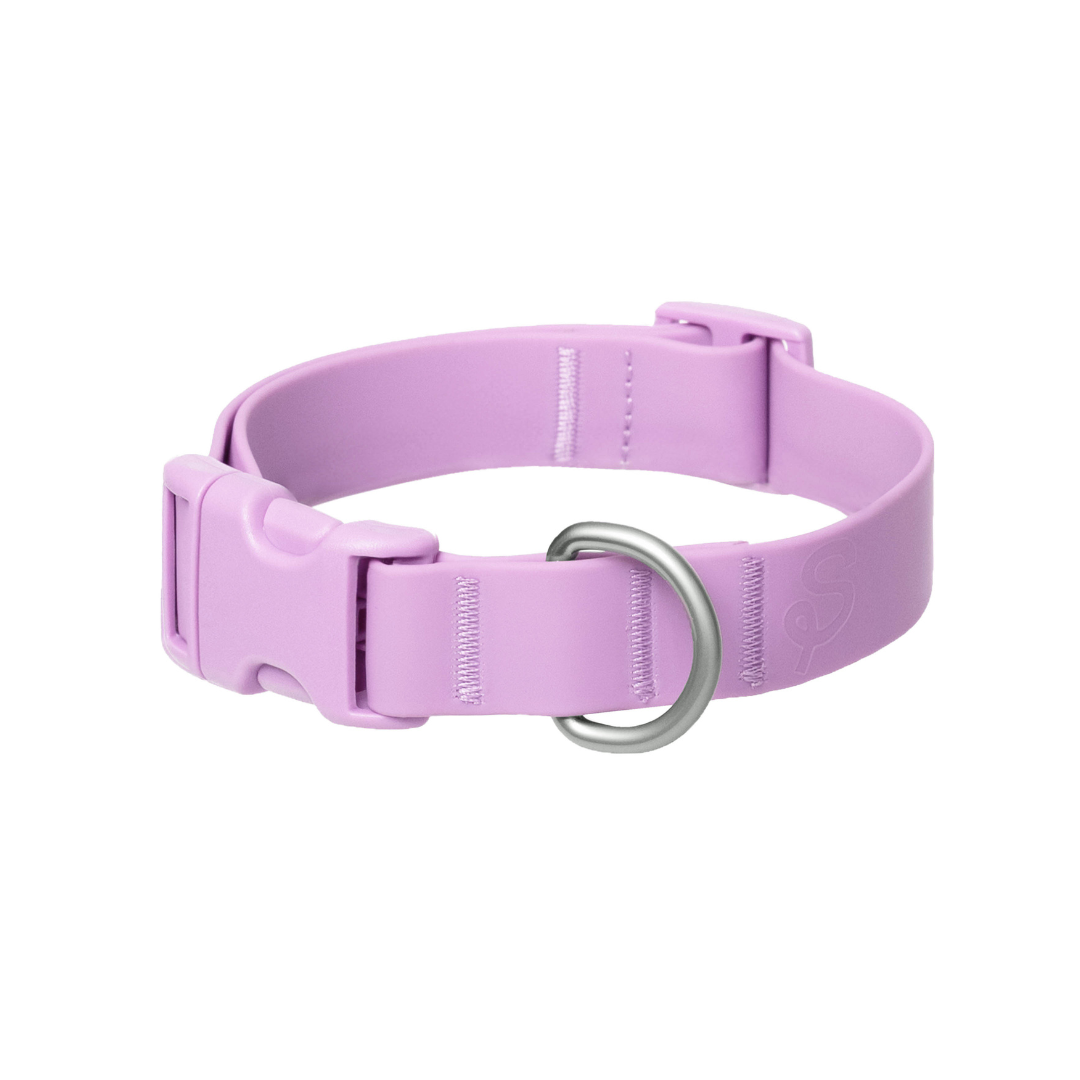 Waterproof Dog Collar product image 2