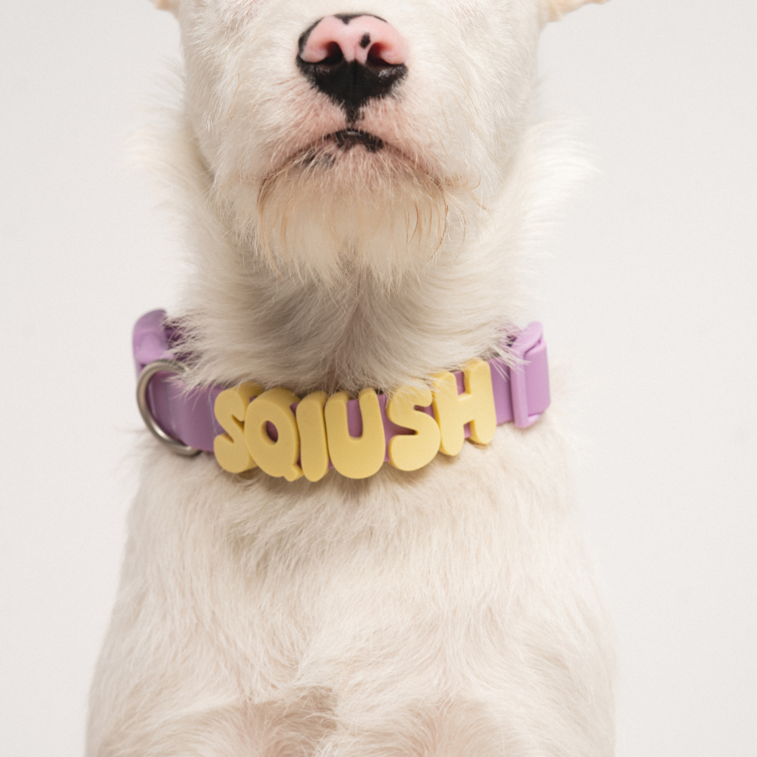 Waterproof Dog Collar product image 3