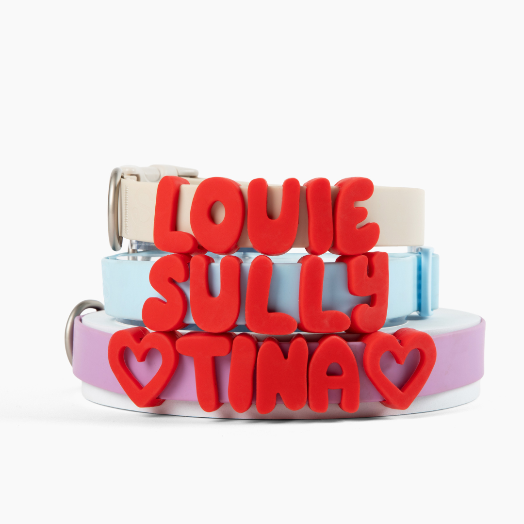 Waterproof Dog Collar product image 7
