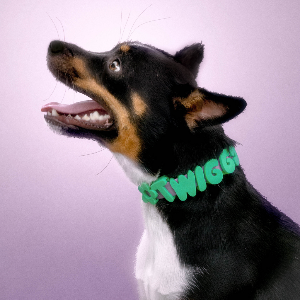 Waterproof Dog Collar product image 9