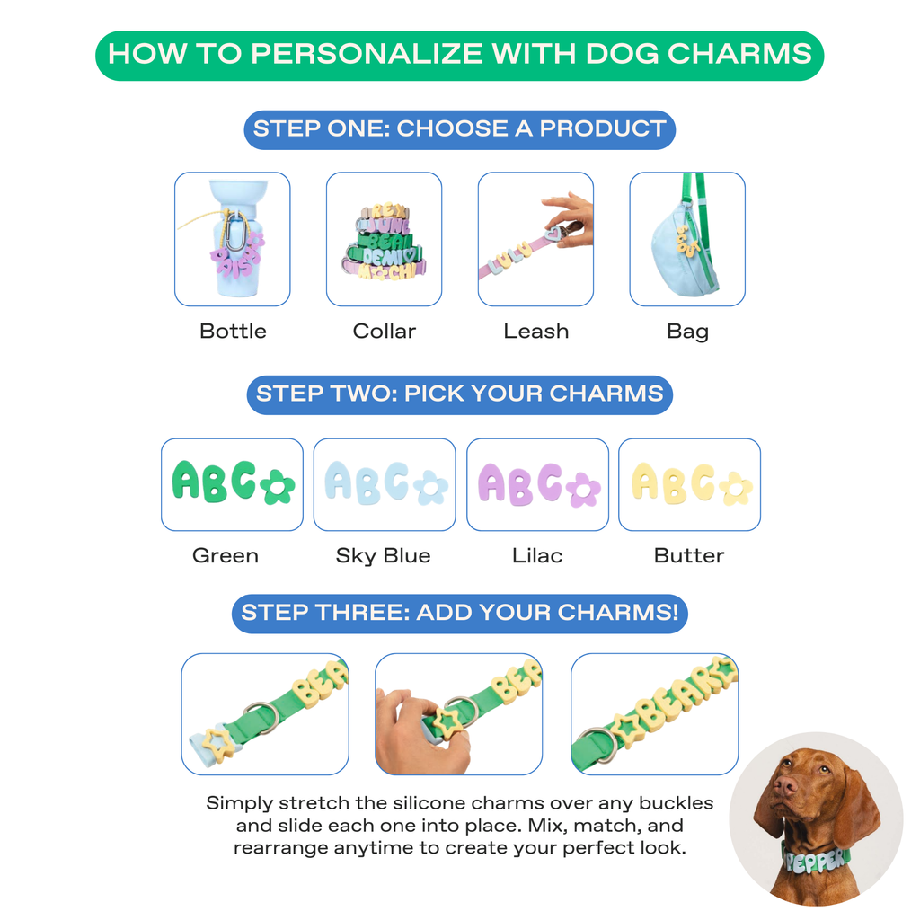 Waterproof Dog Collar product image 11