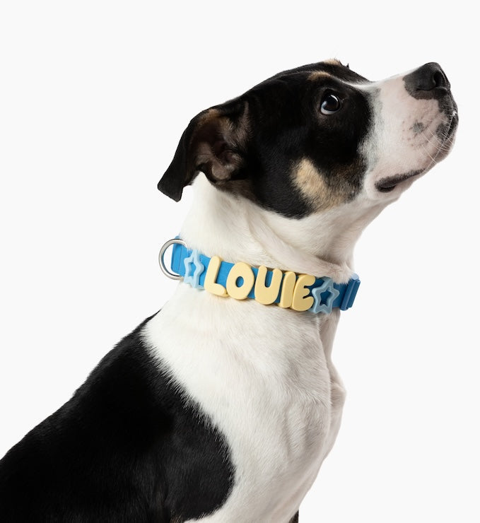 Waterproof Dog Collar product image 14