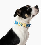 Waterproof Dog Collar product image 14