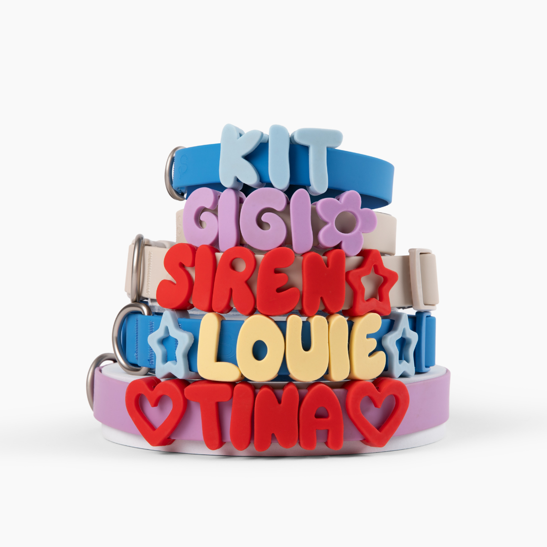 Waterproof Dog Collar product image 15