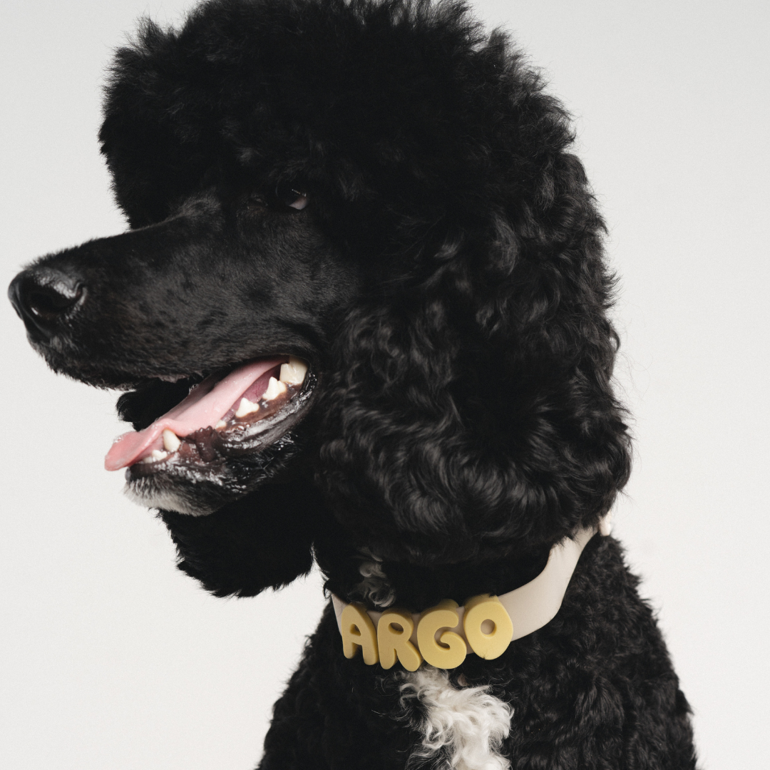 Waterproof Dog Collar product image 27