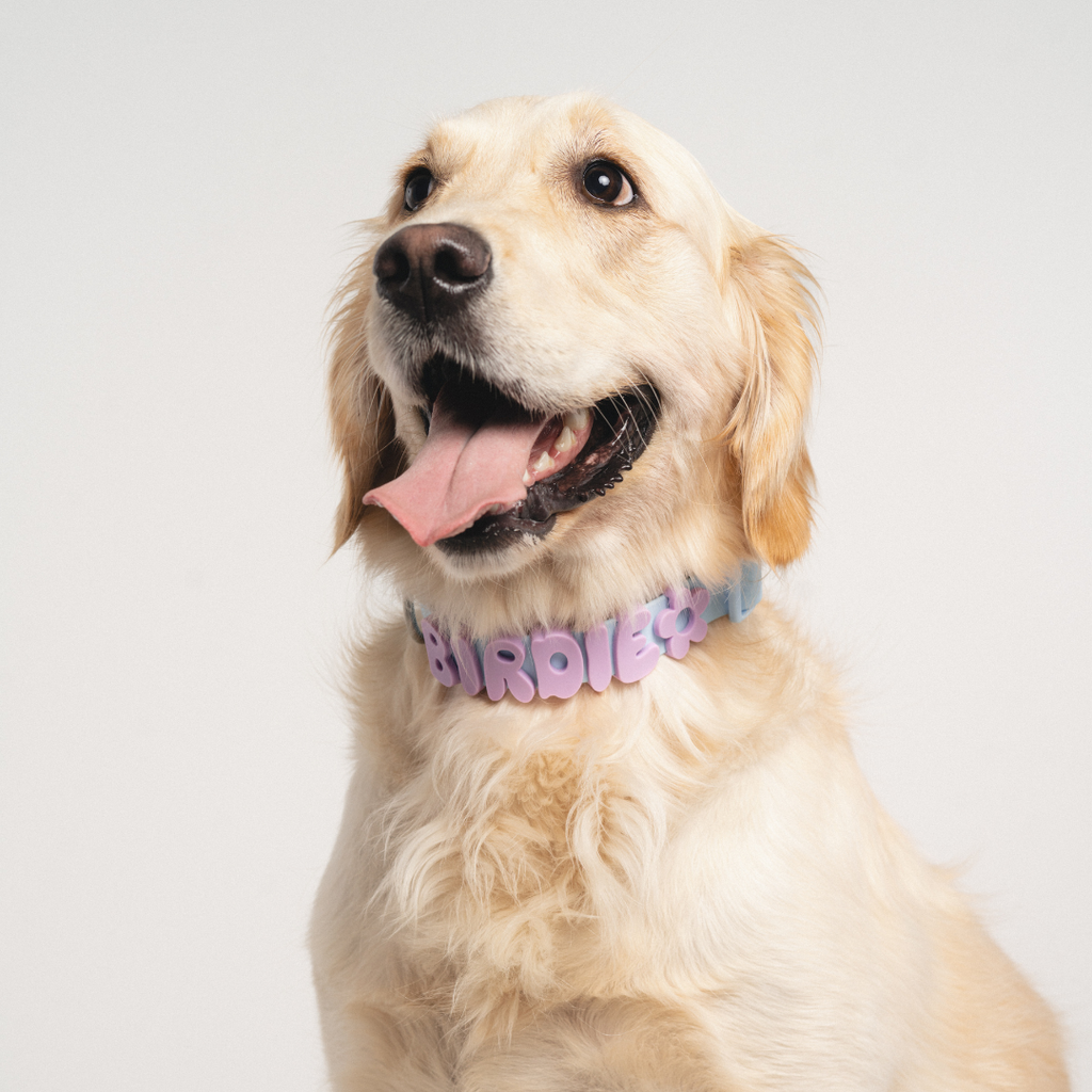 Waterproof Dog Collar product image 32
