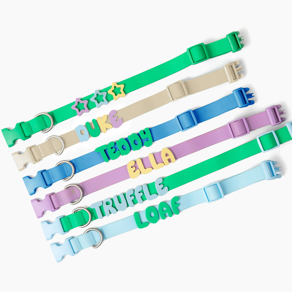 Waterproof Dog Collar product image 33