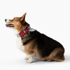 Waterproof Dog Collar product image 34
